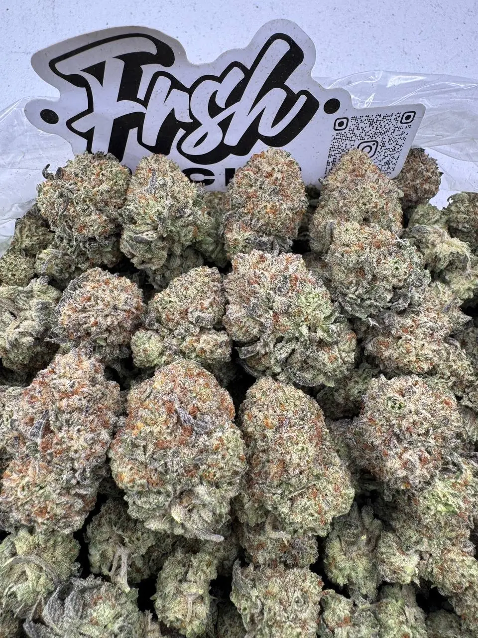 IMG_2392-01KWH6KZJ7400JKT8N78X6FNZY